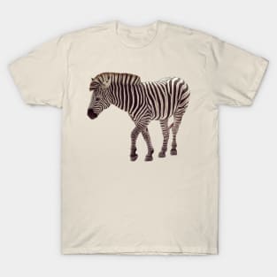 Zebra T-Shirt